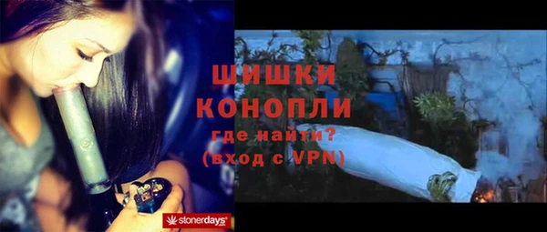 гашиш Богданович