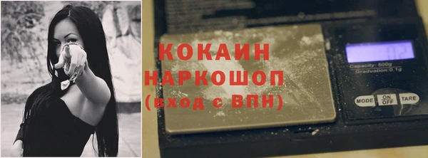 mdpv Богородицк
