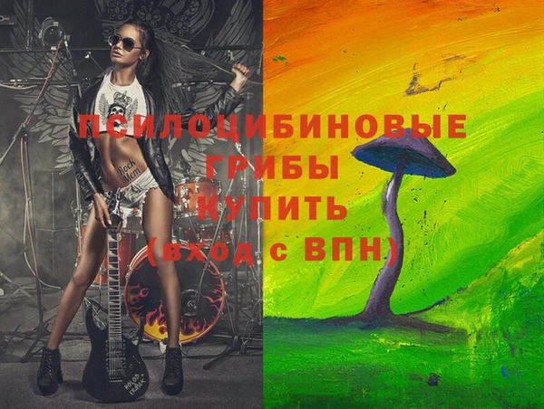 mdpv Богородицк