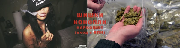 mdpv Богородицк