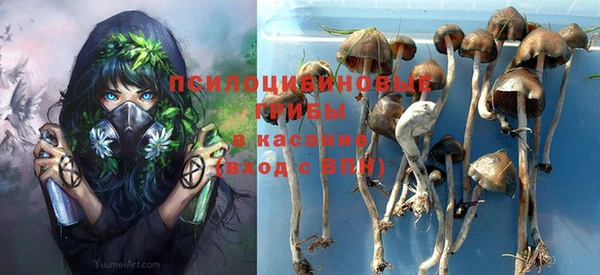 гашиш Богданович