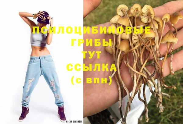 гашиш Богданович