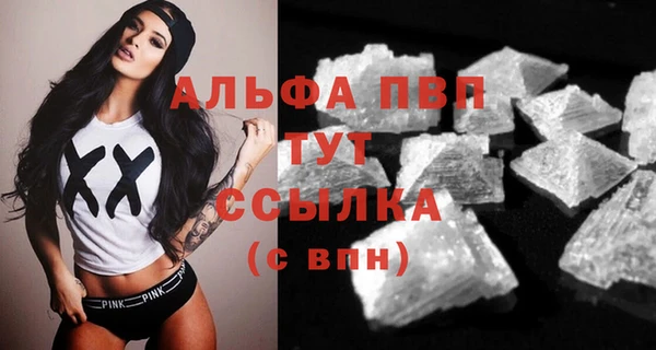 гашиш Богданович